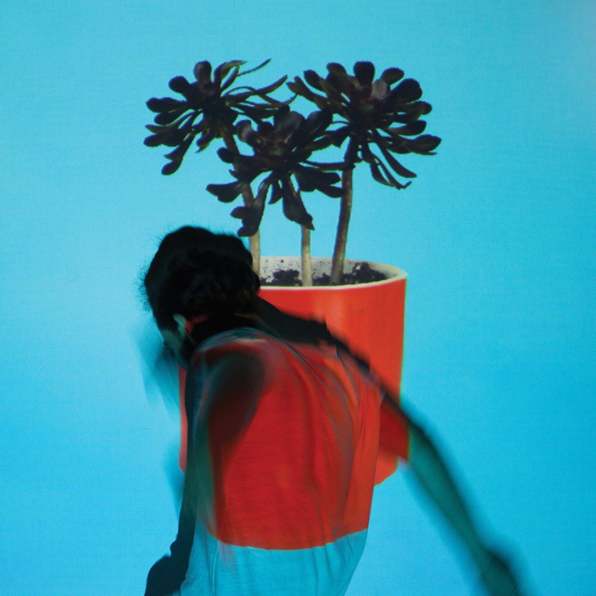 Local Natives SunlitYouth Cover