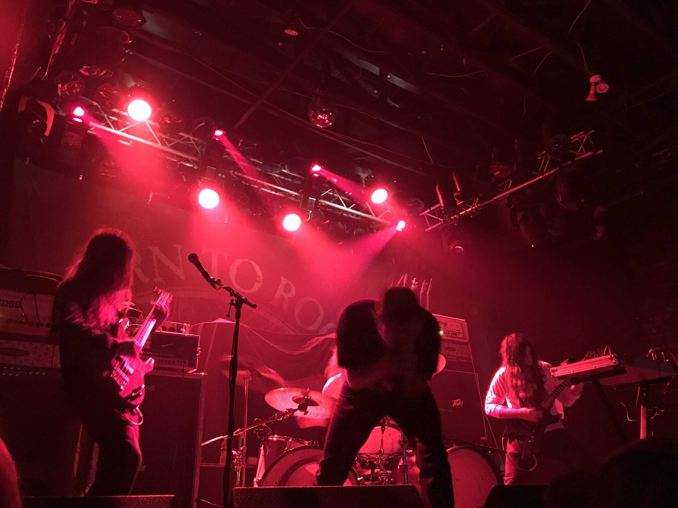 Max and Iggor Cavalera Dig Into Their Roots at Trees