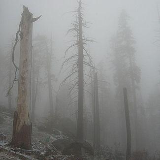Mount Eerie- Mount Eerie Pt. 6 & 7