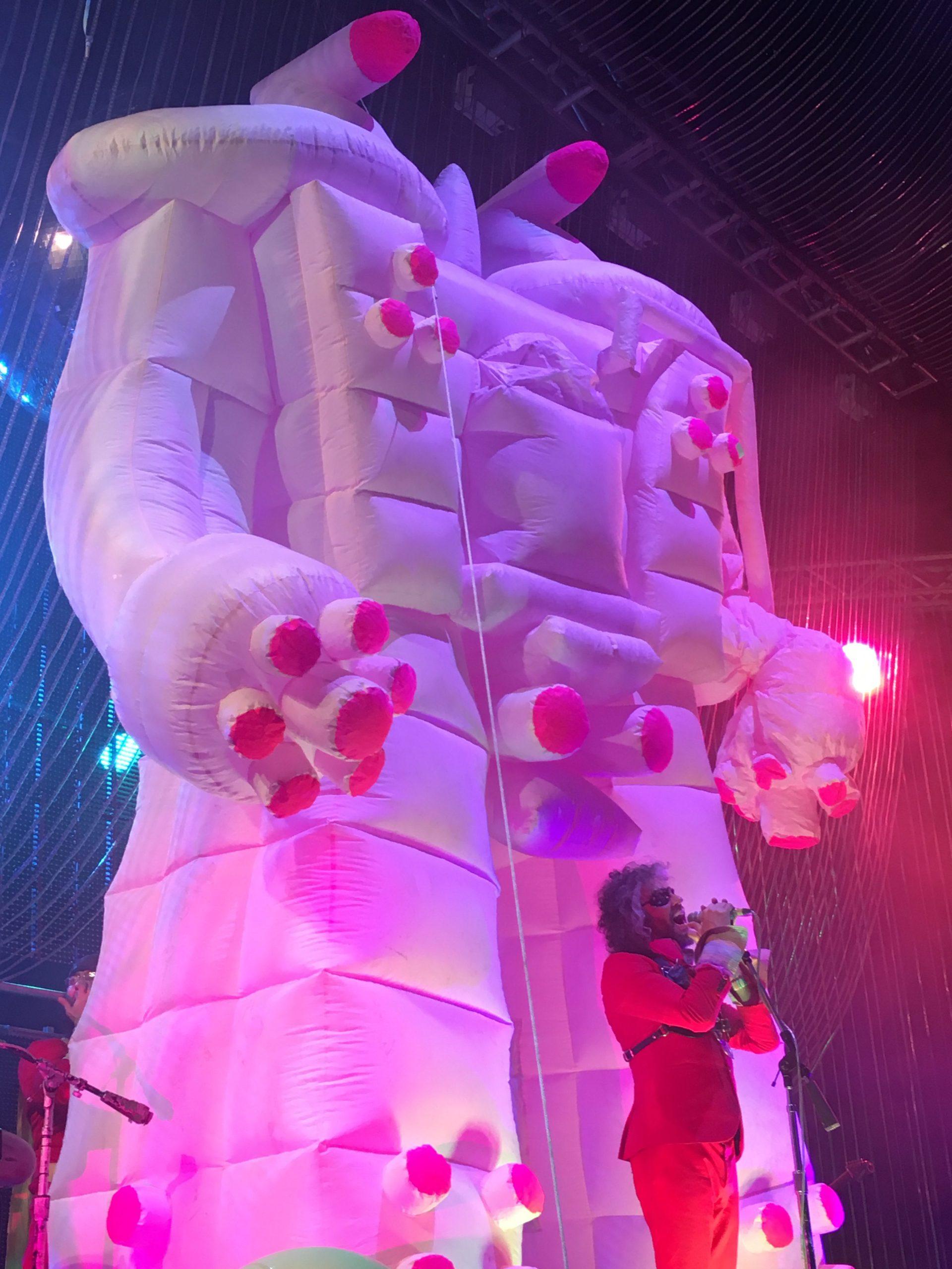 The Flaming Lips and Mac DeMarco Bring Raw Happiness to The Pavilion