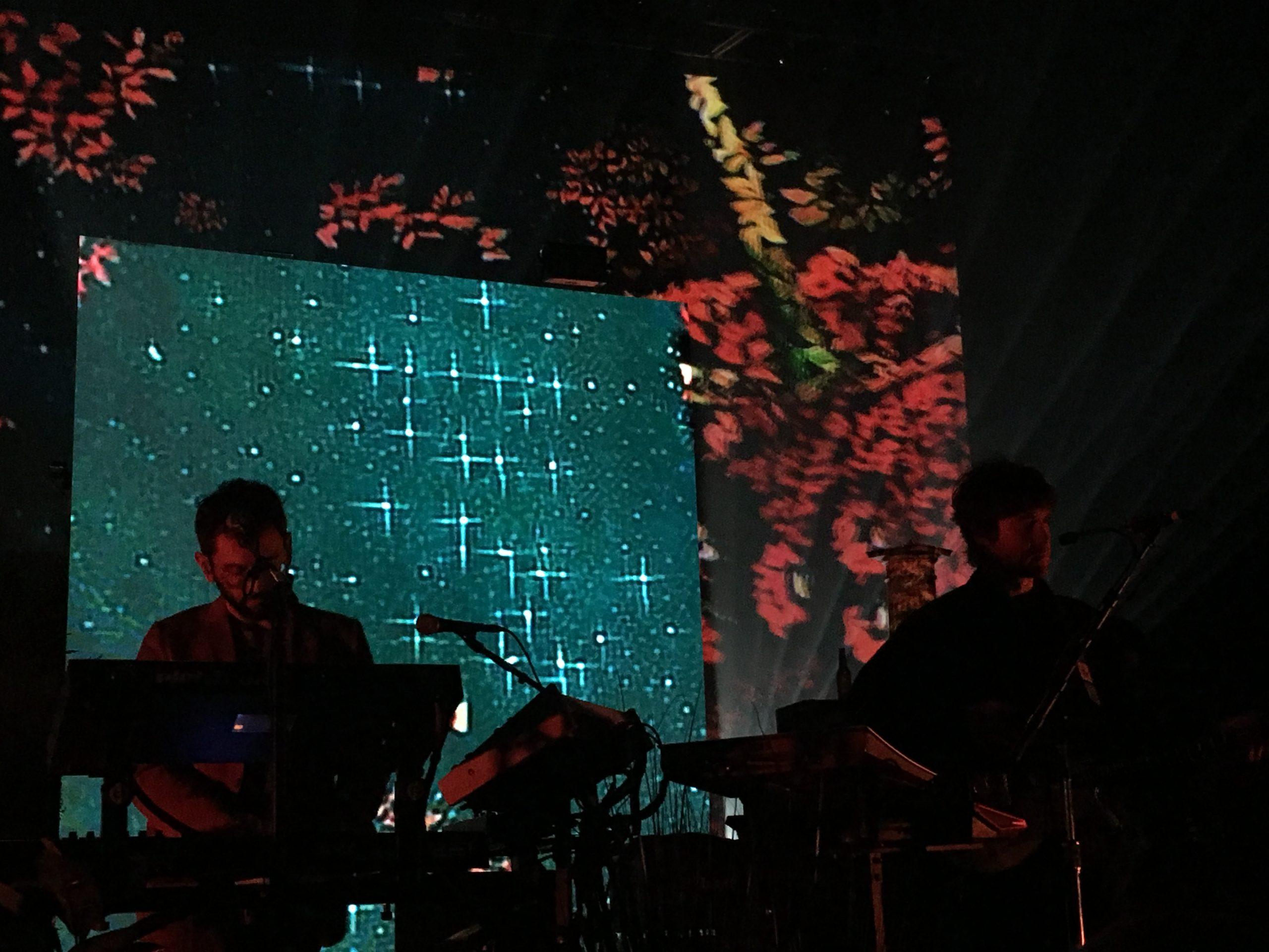 The MGMT Show Was Solid As They Come