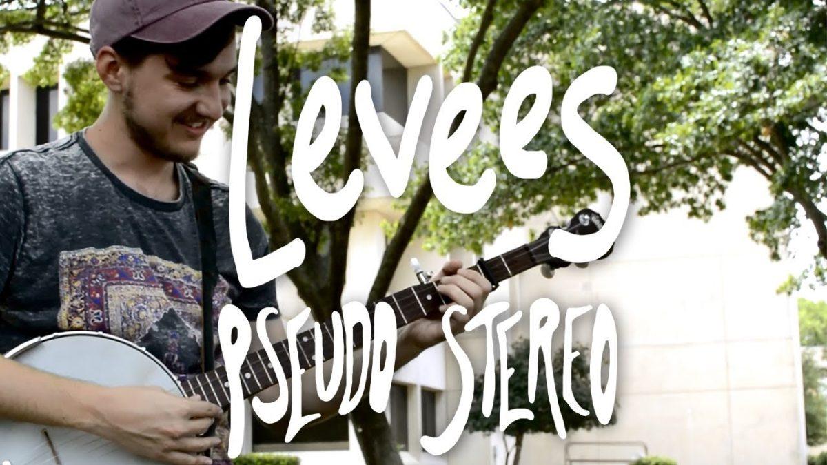 Levees