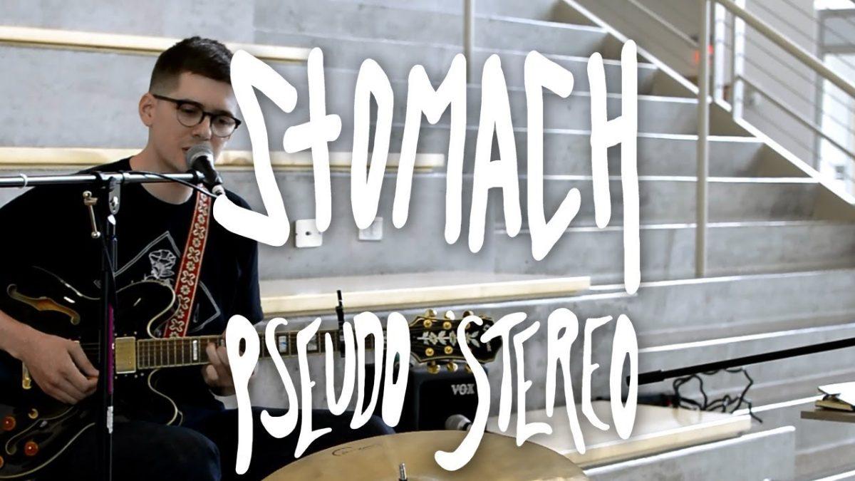 Stomach