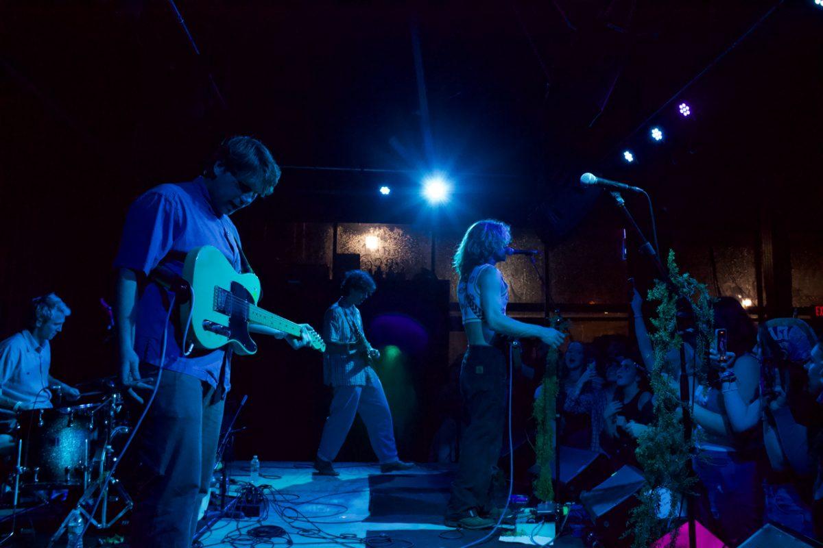 The Moss Dive Into Dada