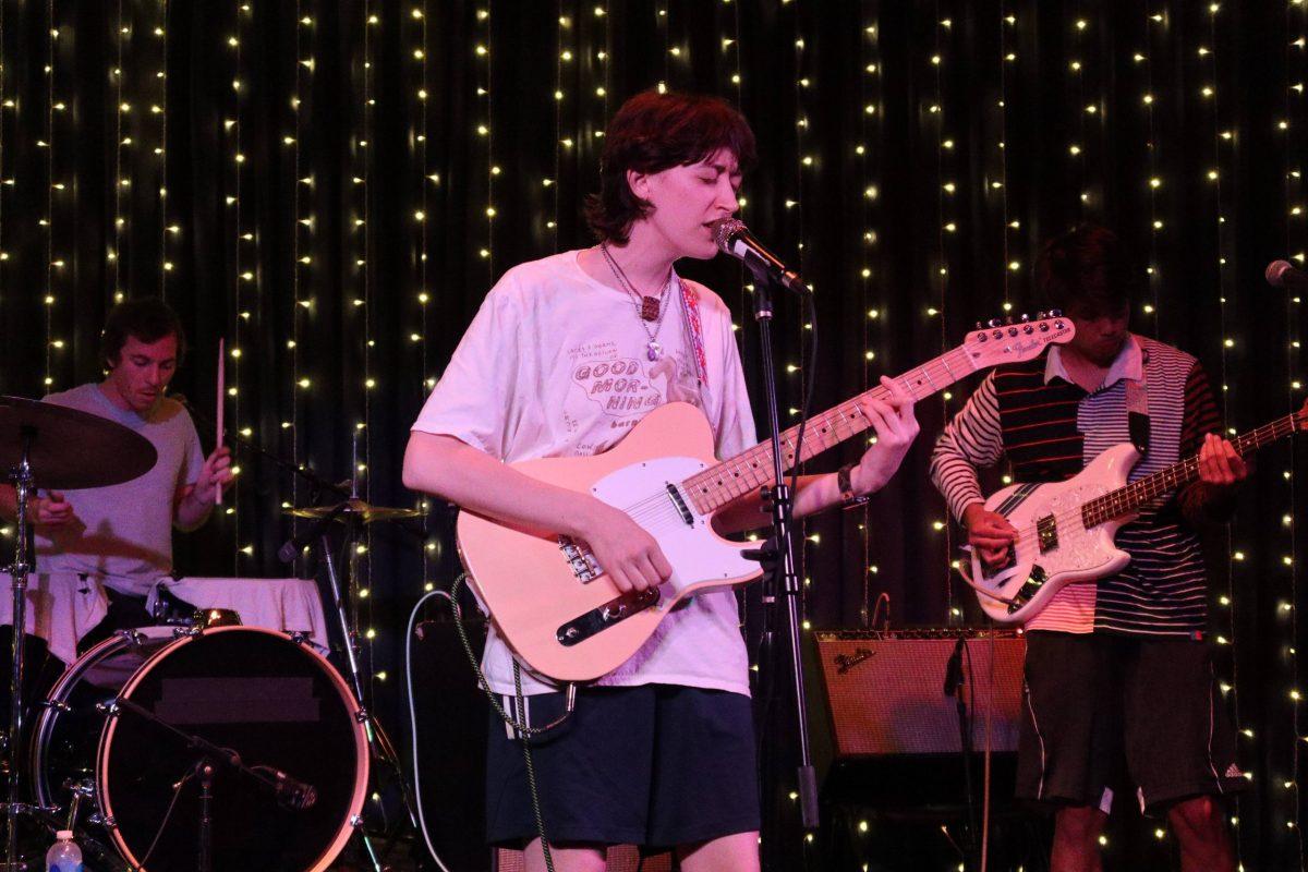 Frankie Cosmos & Friends Flip Frowns